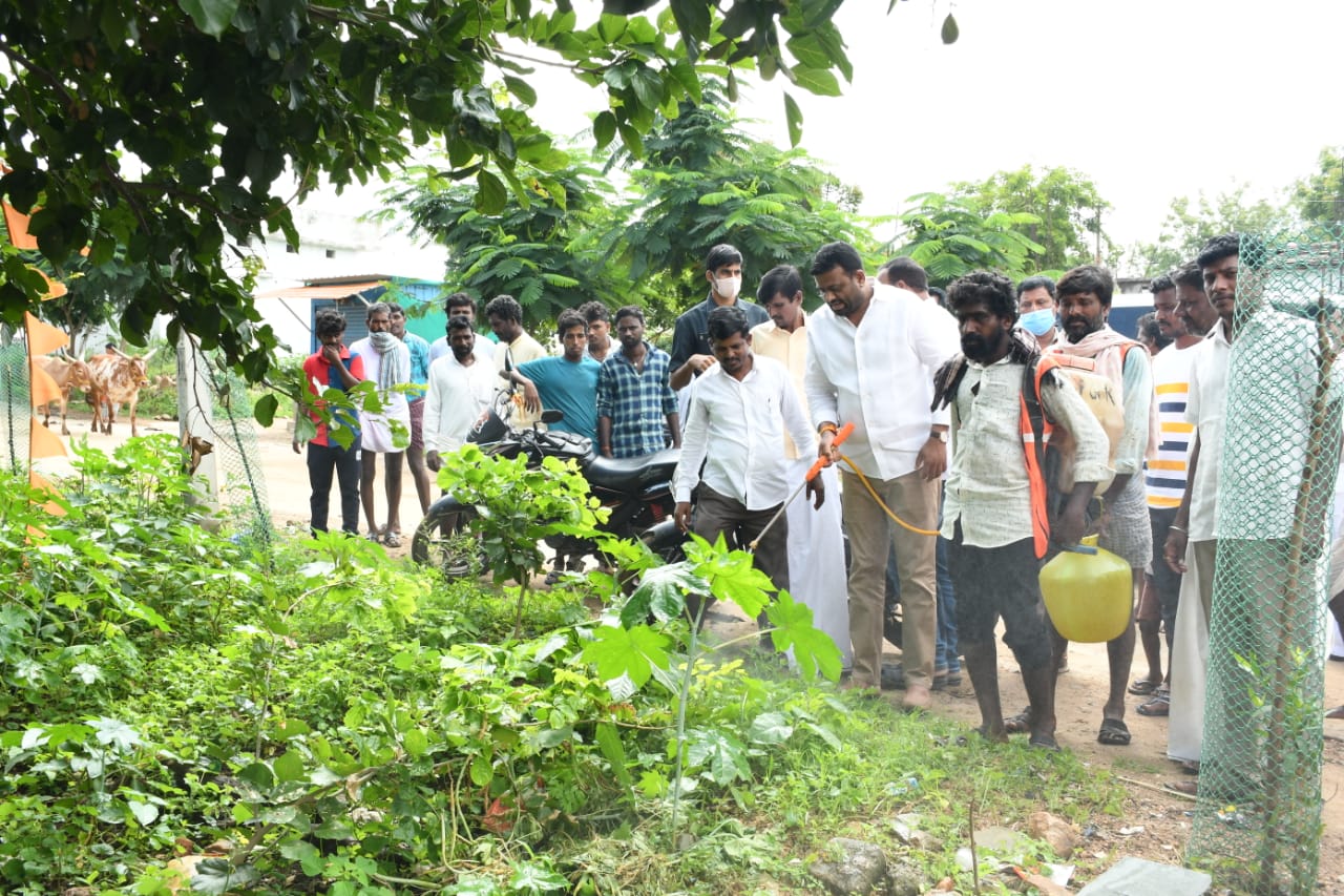 సీజనల్‌ వ్యాధులపై అప్రమత్తంగా ఉండాలి