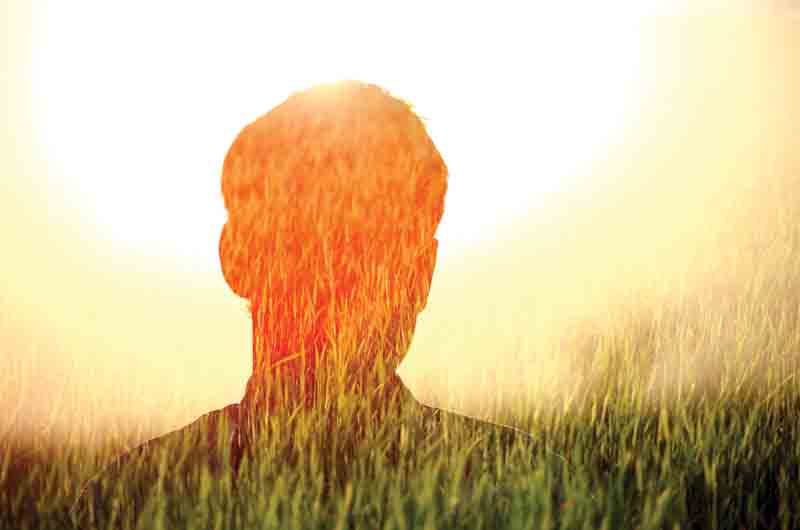 రైతుబీమాకు రూ.36.20 కోట్లు