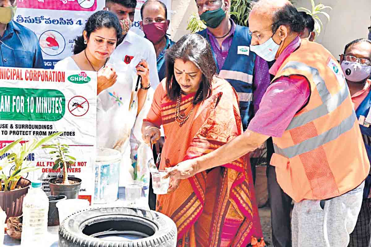 దోమల అంతు చూద్దాం..