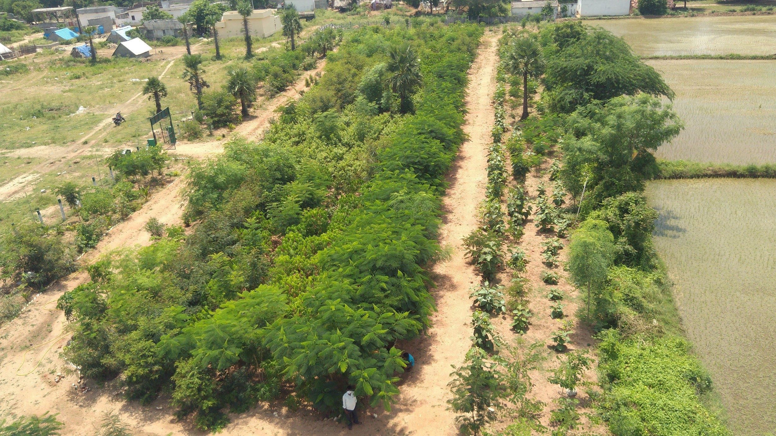 కట్టంగూర్: మారిన గ్రామ రూపురేఖలు