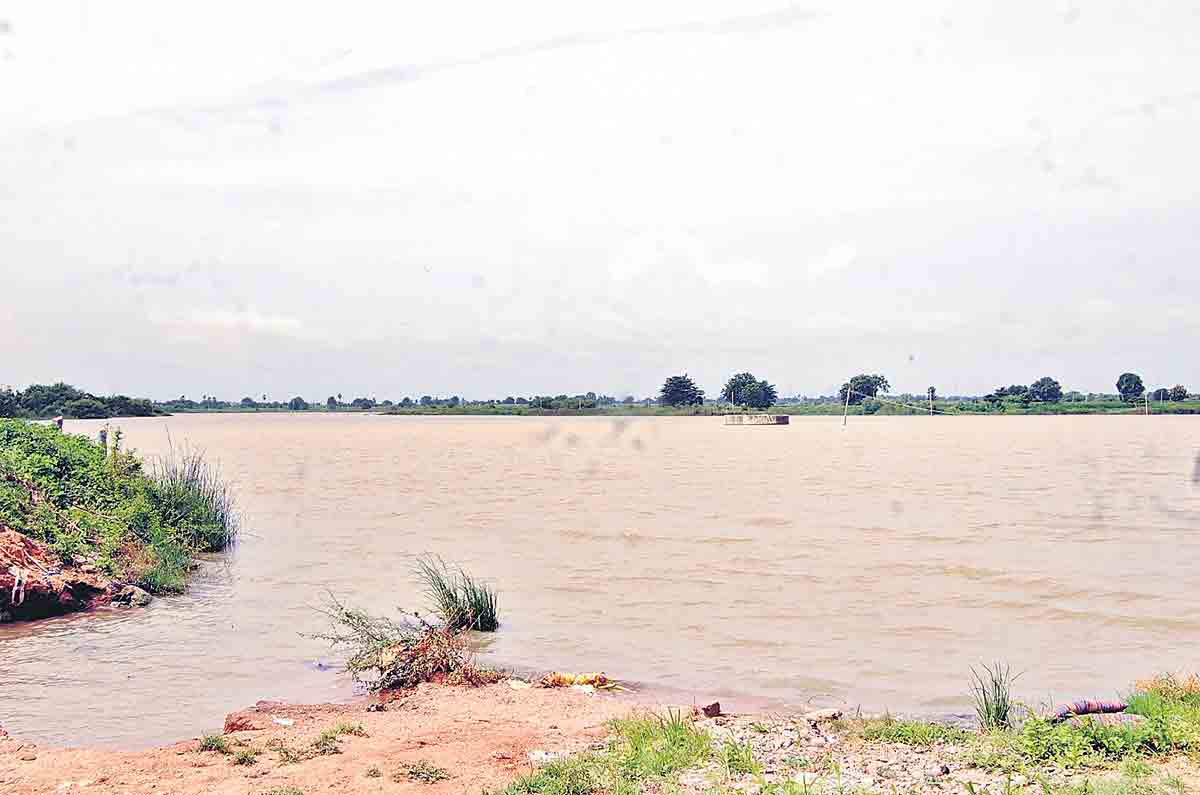 జలకళ.. సాగుభళా..