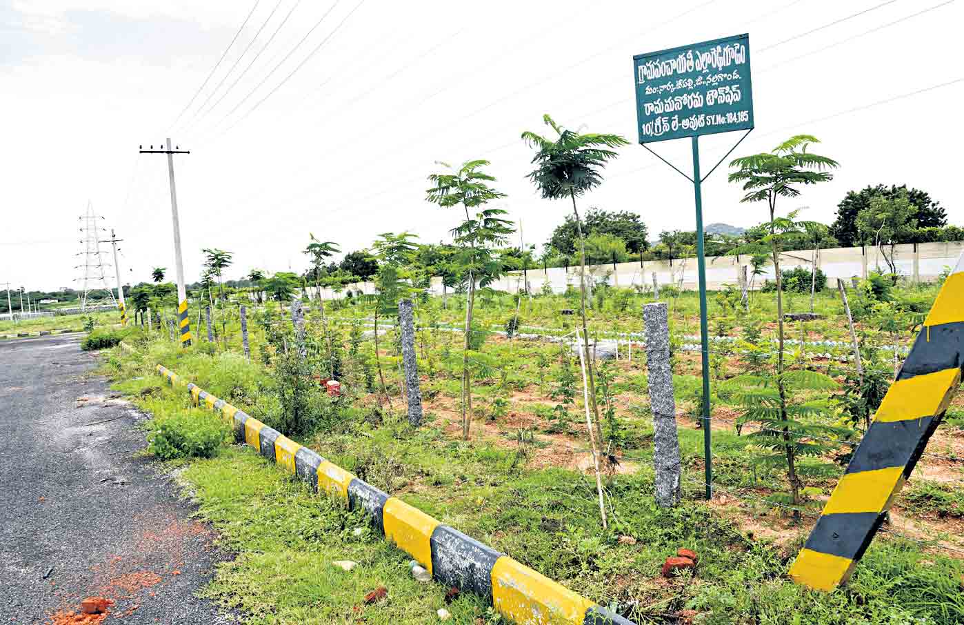 లేఅవుట్లలోనూ ప్రకృతి వనాలు