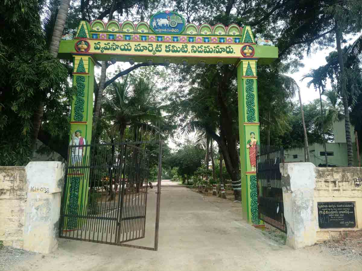 ధాన్యం నిండుగా.. ఆదాయం దండిగా