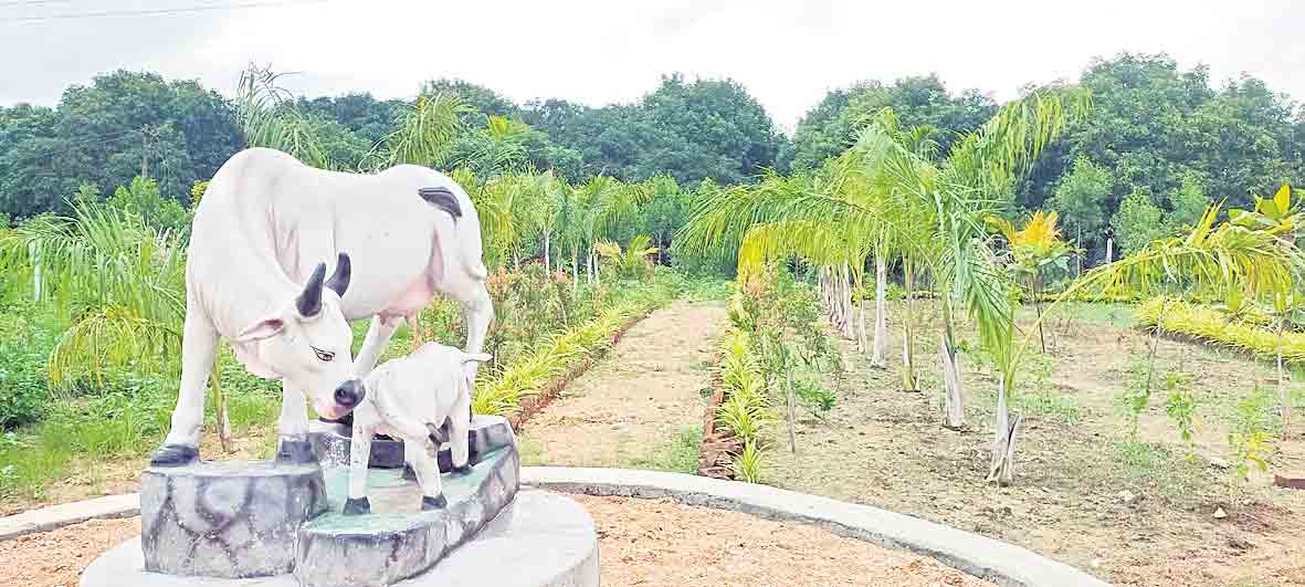 చూడచక్కని అడ్కాస్‌పల్లి