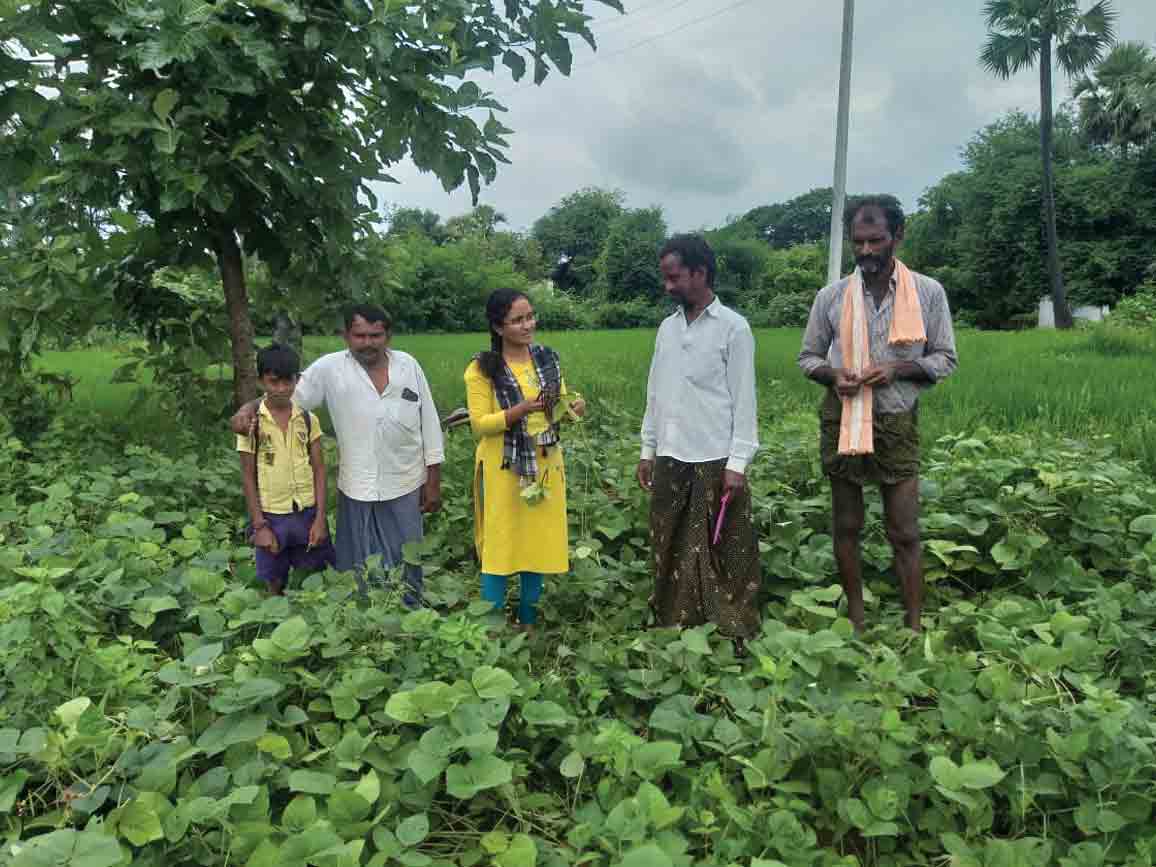 అన్నదాతకు అండగా..