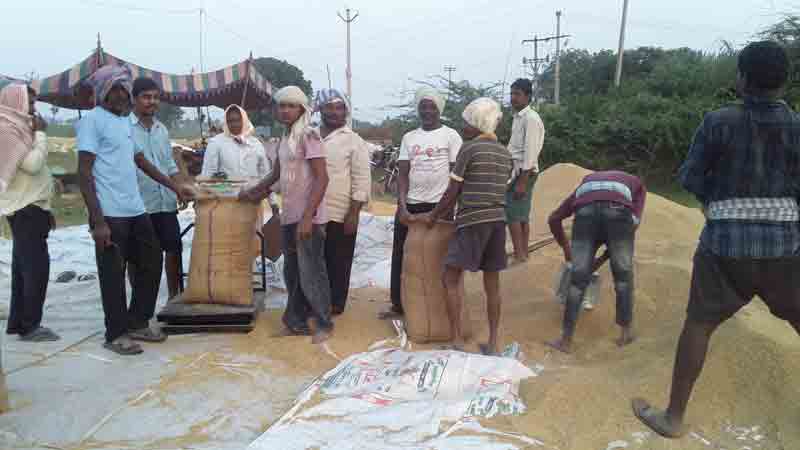 యాసంగి ధాన్యానికి @ రూ.1,248.68 కోట్లు