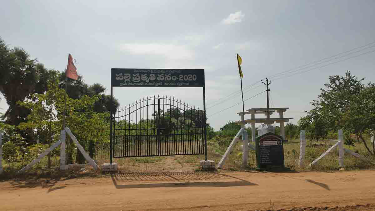 సమస్యలు తొలిగినయ్‌.. సౌకర్యాలు సమకూరినయ్‌..!