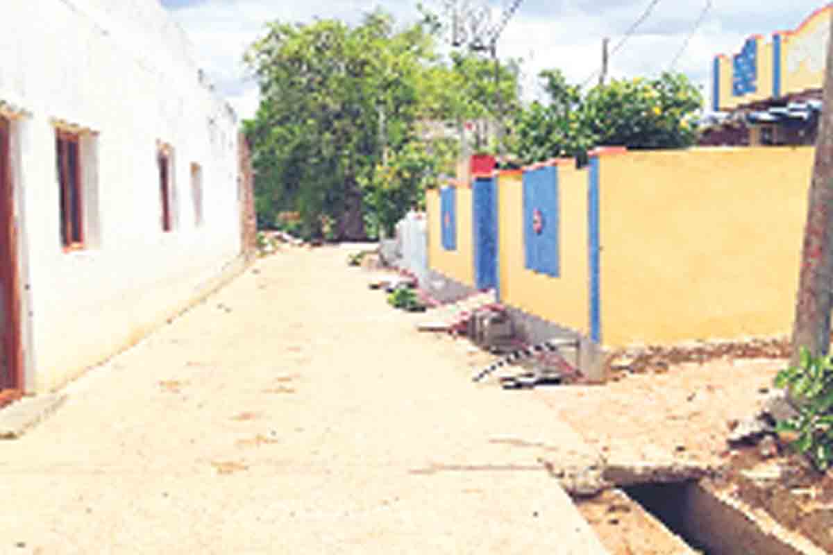 పచ్చగా.. పరిశుభ్రంగా..