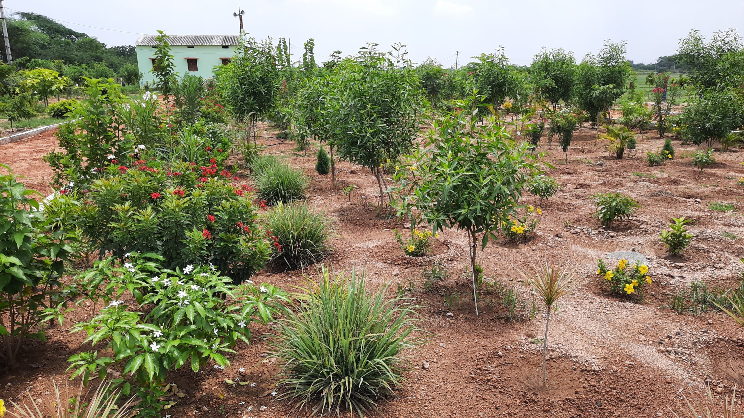 నల్లగొండ: అభివృద్ధిలో ఆదర్శం.. గుర్రప్పగూడెం