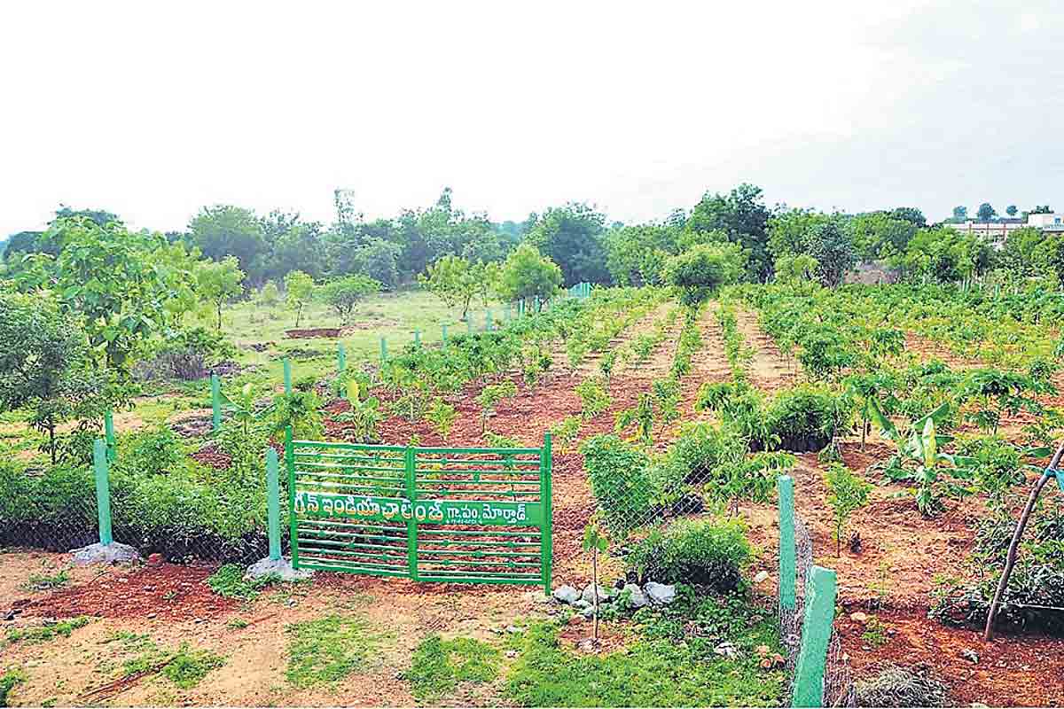 ప్రగతిలో ముందడుగు