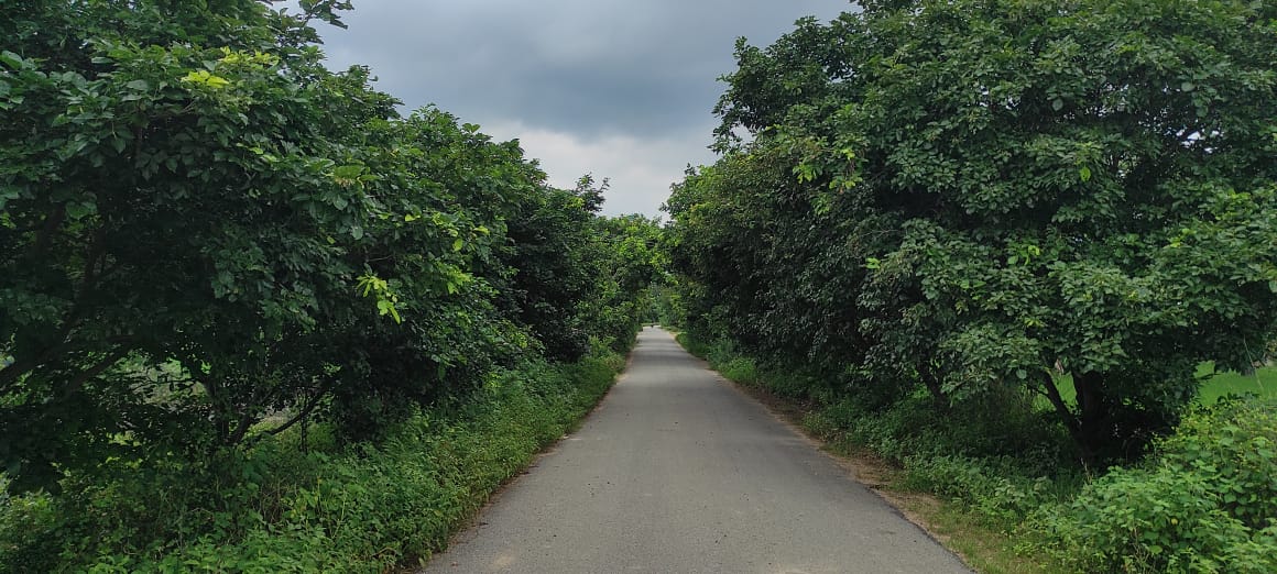 యాదాద్రి: ప్రగతిపథంలో పుల్లాయిగూడెం