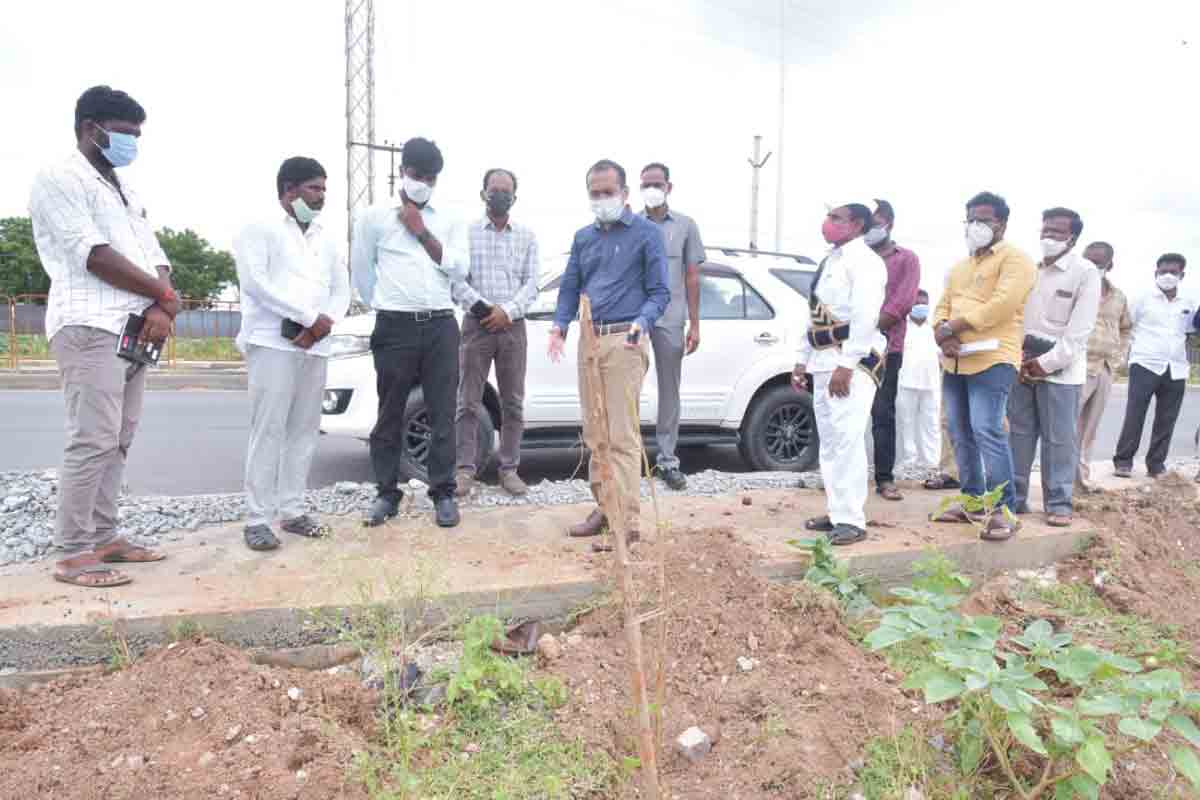 మొక్కల సంరక్షణలో నిర్లక్ష్యం వహిస్తే చర్యలు