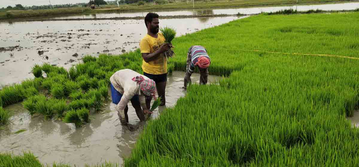 వలసల జిల్లా్కే వలస