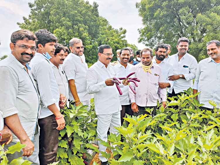 భూమిని ప్రేమిస్తే కన్నోళ్లను ప్రేమించినట్టే