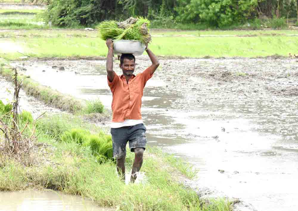 రైతు ఇంట.. ధీమా