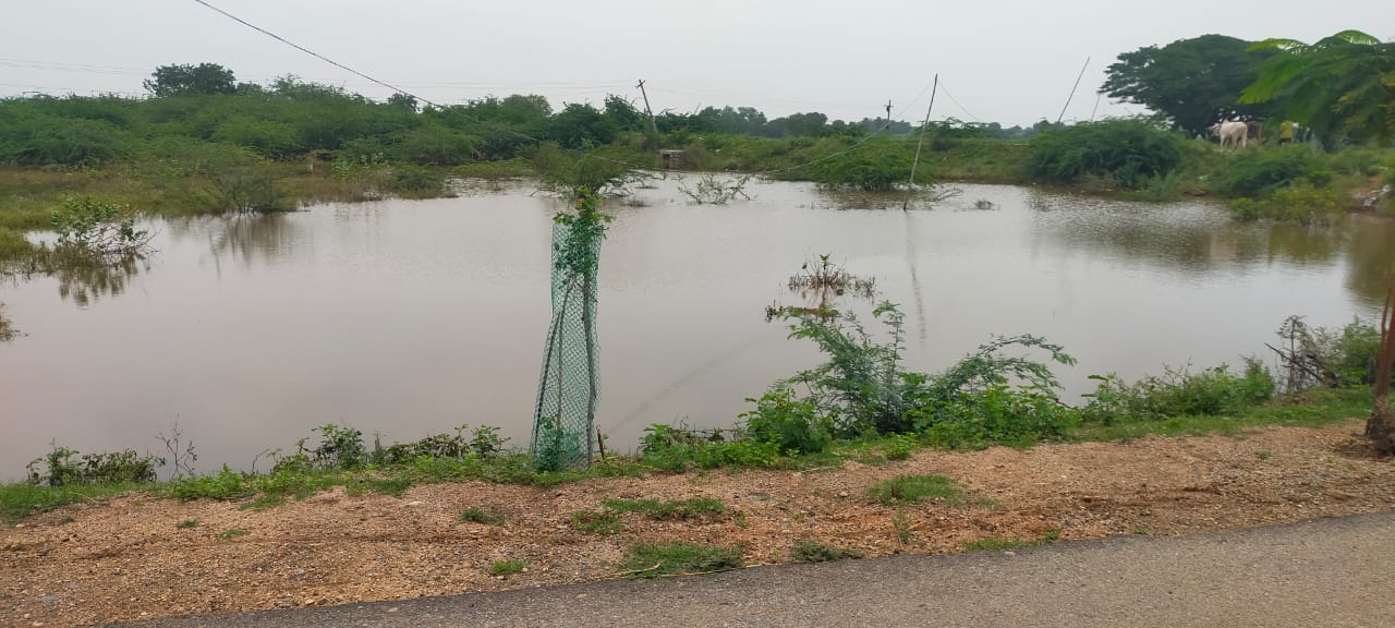 Mission Kakatiya : నిండుగా చెరువులు.. పెరిగిన భూగర్భ జలాలు