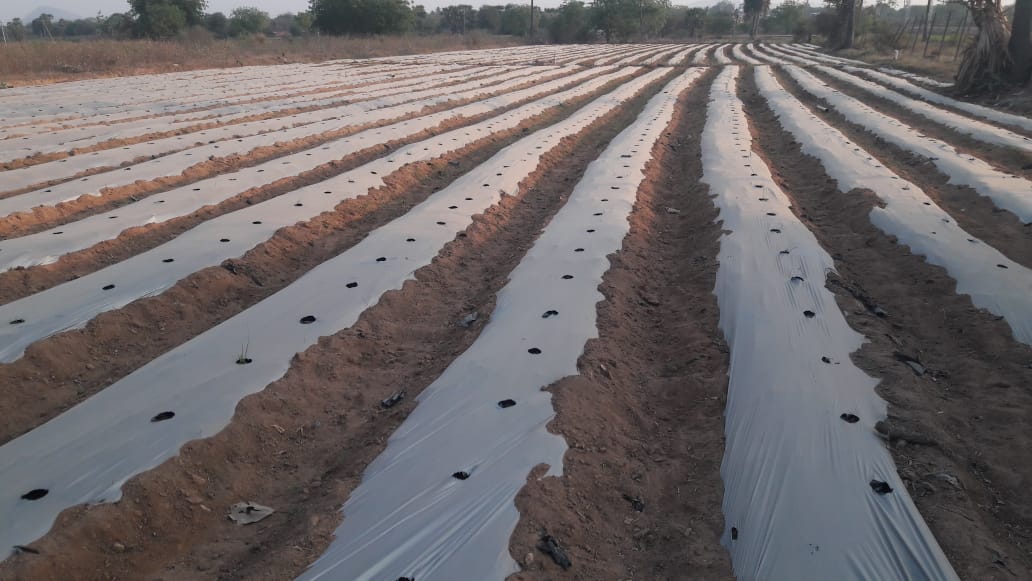 తుంగతుర్తి: సబ్సిడీతో రైతుకు లాభార్జన