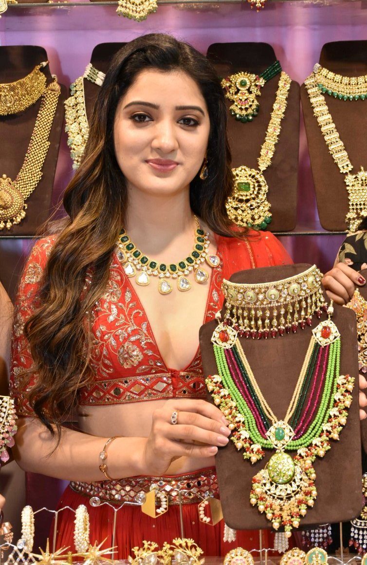 High life exhibition | హెచ్‌ఐసిసిలో ఆకట్టుకుంటున్న హై లైఫ్‌ ఎగ్జిబిషన్‌