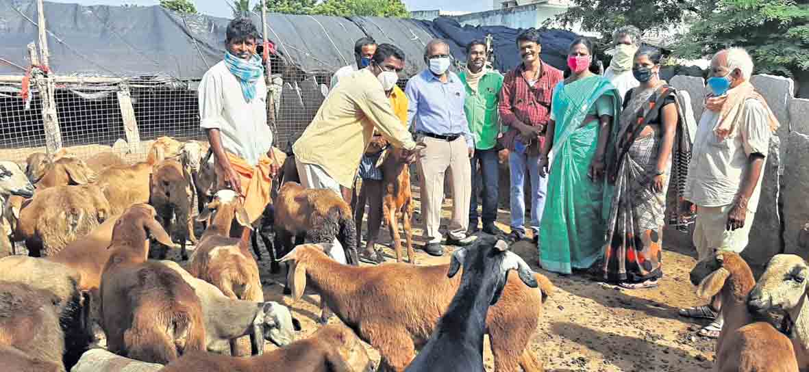 పశు సంపదను కాపాడుకోవాలి