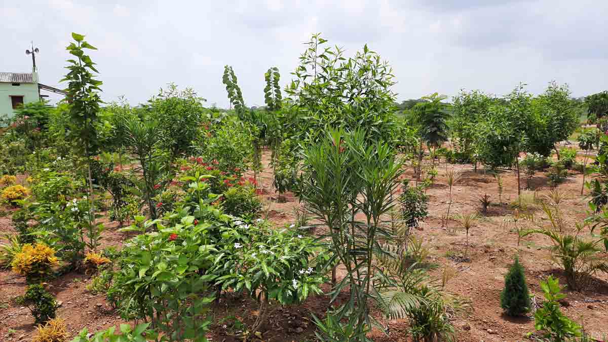 అభివృద్ధి బాటలో ఆగా మోత్కూర్‌