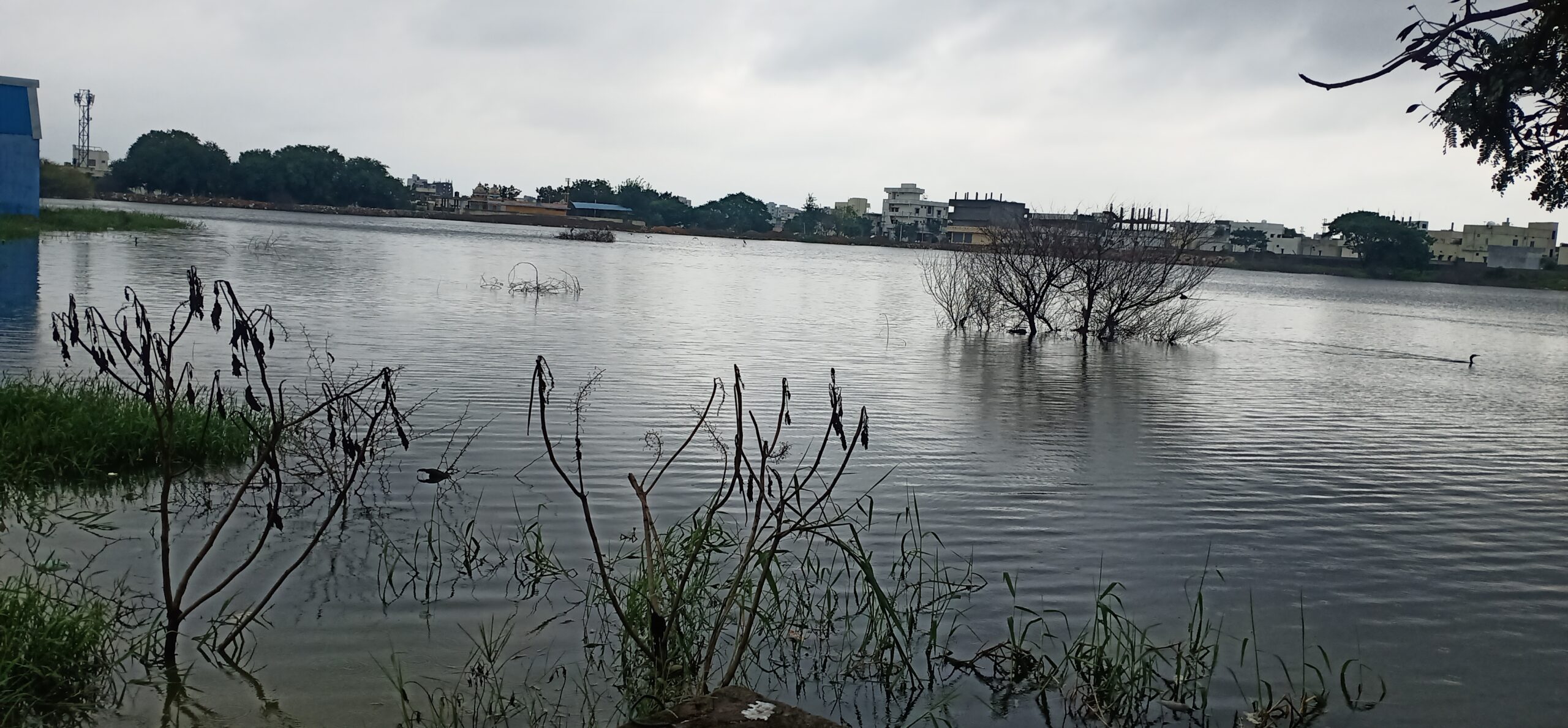 Hyderabad | నిండు కుండ‌ల చెరువులు