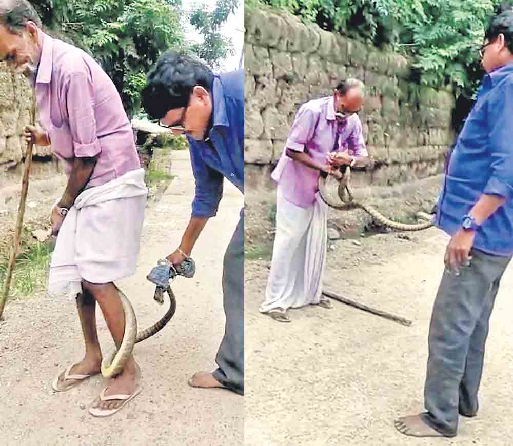 వృద్ధుడి కాళ్లకు చుట్టుకున్న పాము