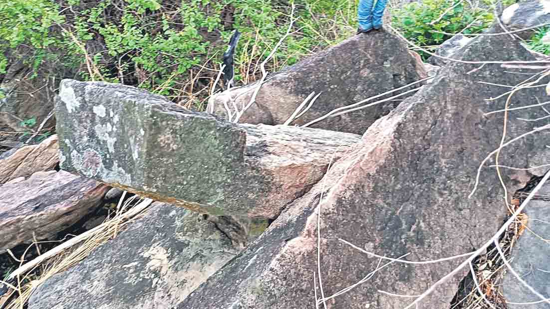 చూస్తే గరుకుగా.. తాకితే నున్నగా..