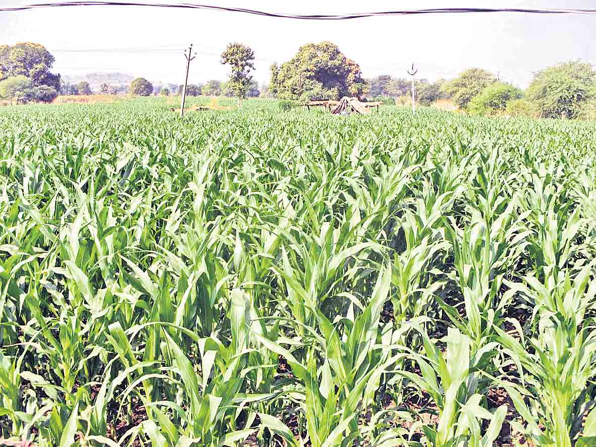 అక్రమార్కులపై విచారణాస్త్రం!