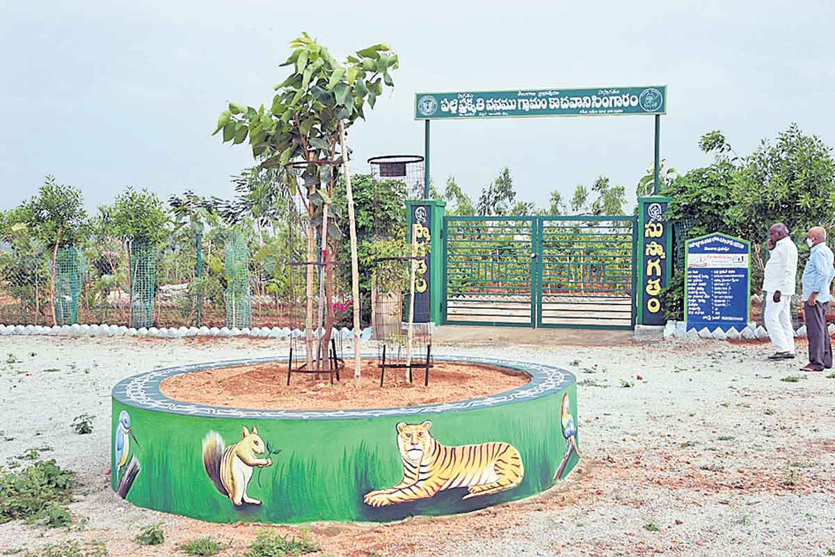 జిల్లాలో మరిన్ని బృహత్‌ ప్రకృతి వనాలు