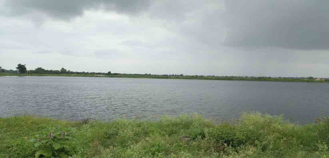 జలకళ సంతరించుకున్న అల్లీపూర్‌కుంట