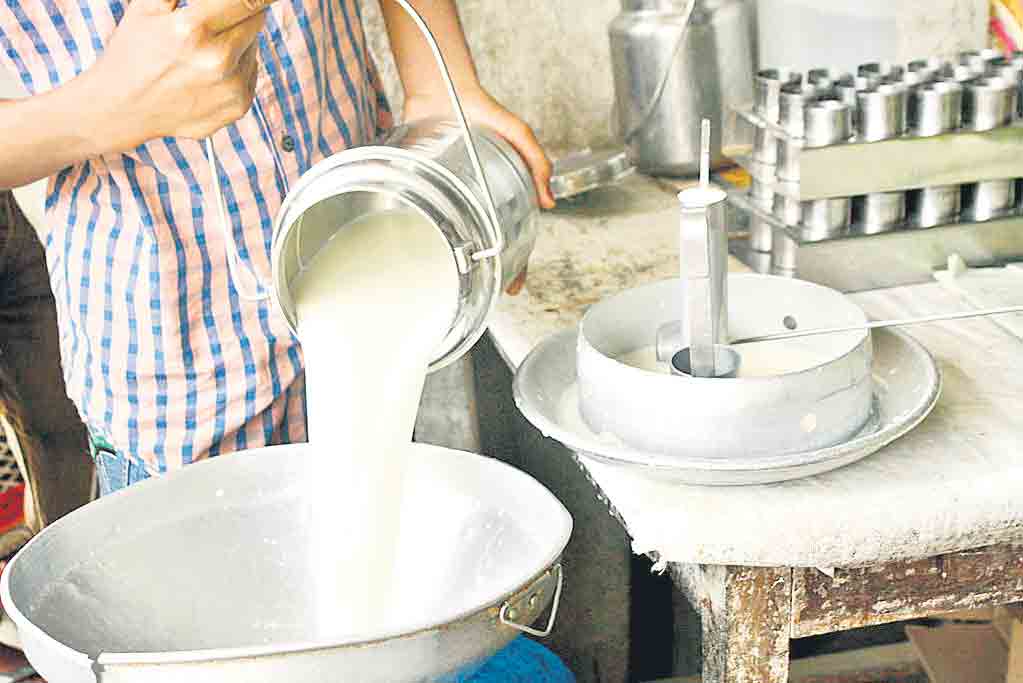 ఆ పల్లెలో పాల వెల్లువ