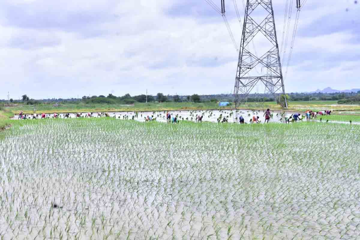 పల్లె భూములకు రెక్కలు