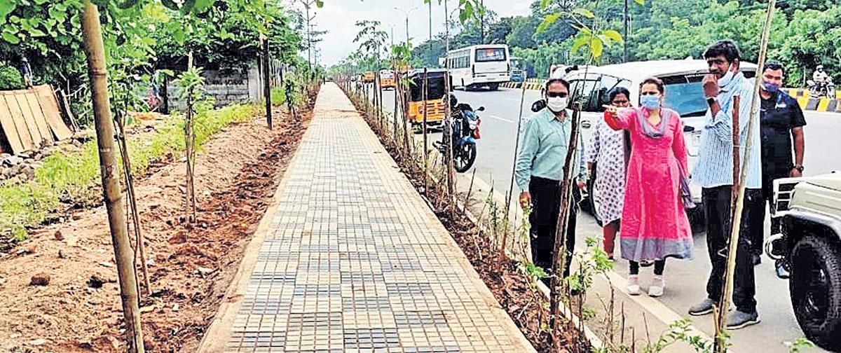బహుళ వరుసల్లో హరితహారం