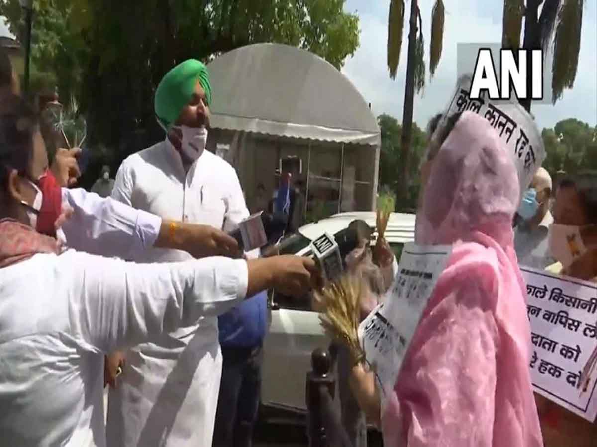 Harsimrat Kaur : బిల్లుకు మద్దతు తెలిపి ఇప్పుడు ఆందోళనలా?