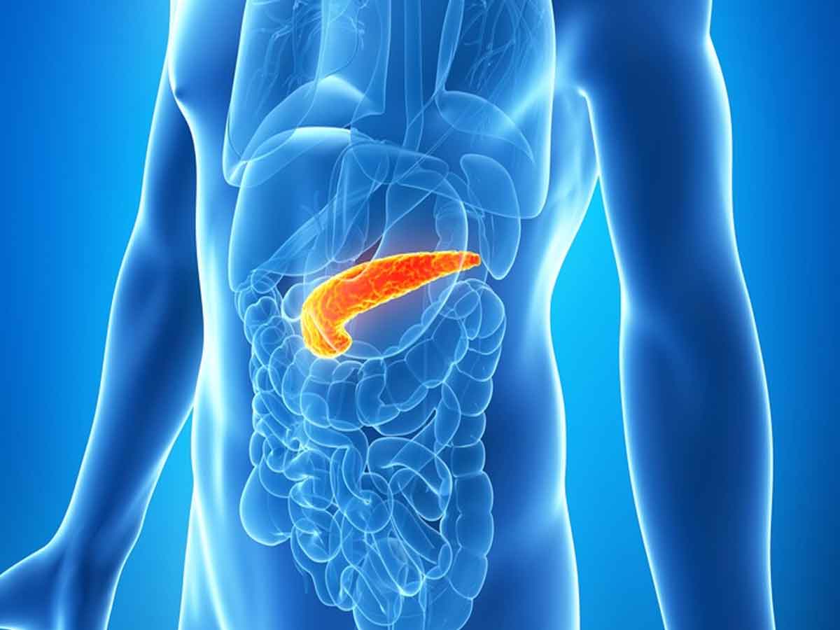 Blood sugar : రక్తంలో షుగర్‌ నియంత్రణకు కృత్రిమ క్లోమం