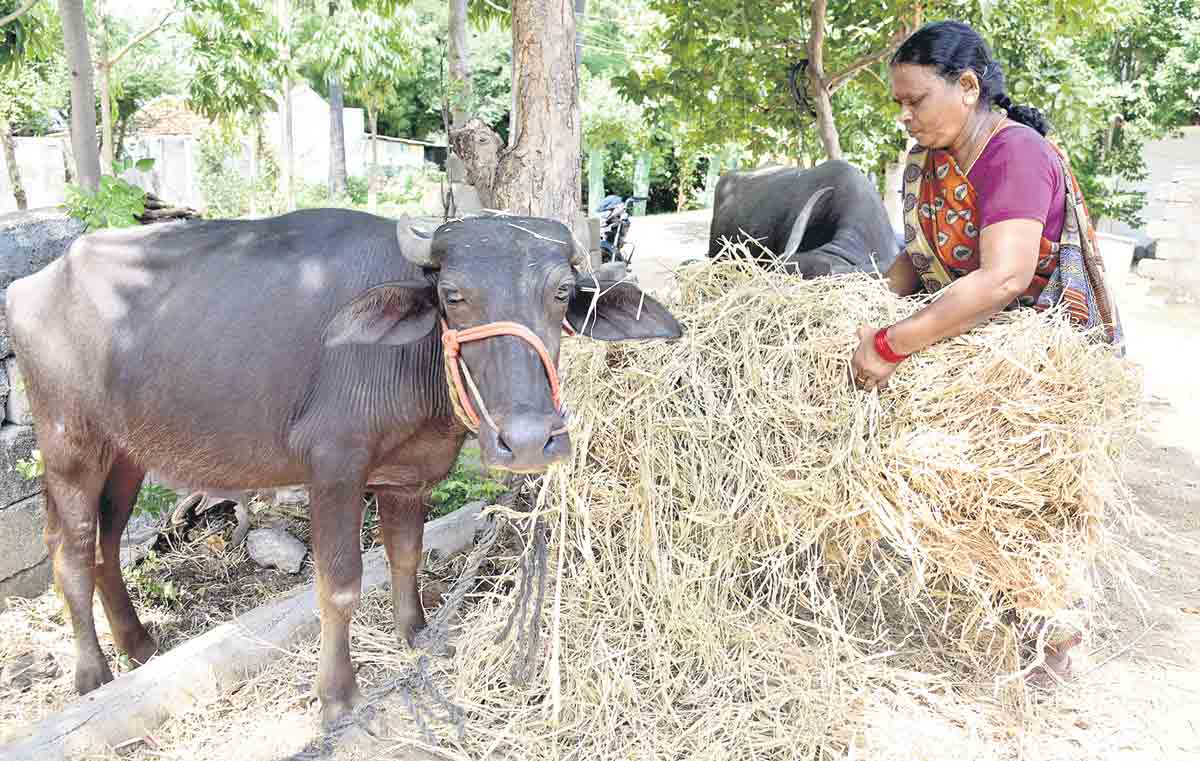 నా కొడుకు కోసం కాళ్లకు బట్టకట్టుకొని తిరుగుత