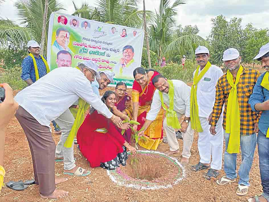 మొక్కలు నాటి సంరక్షించాలి