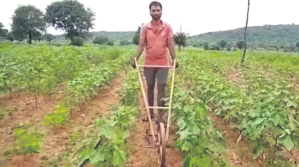 ఖర్చు లేకుండా కలుపుతీత