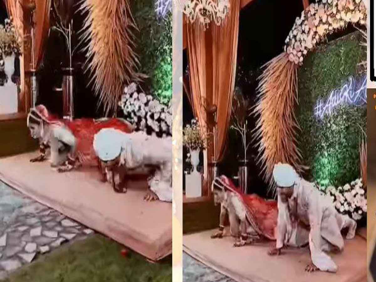 Bride and Groom Pushups : పెండ్లి పందిరిలో పుషప్స్‌.. వావ్‌ గ్రేట్‌!