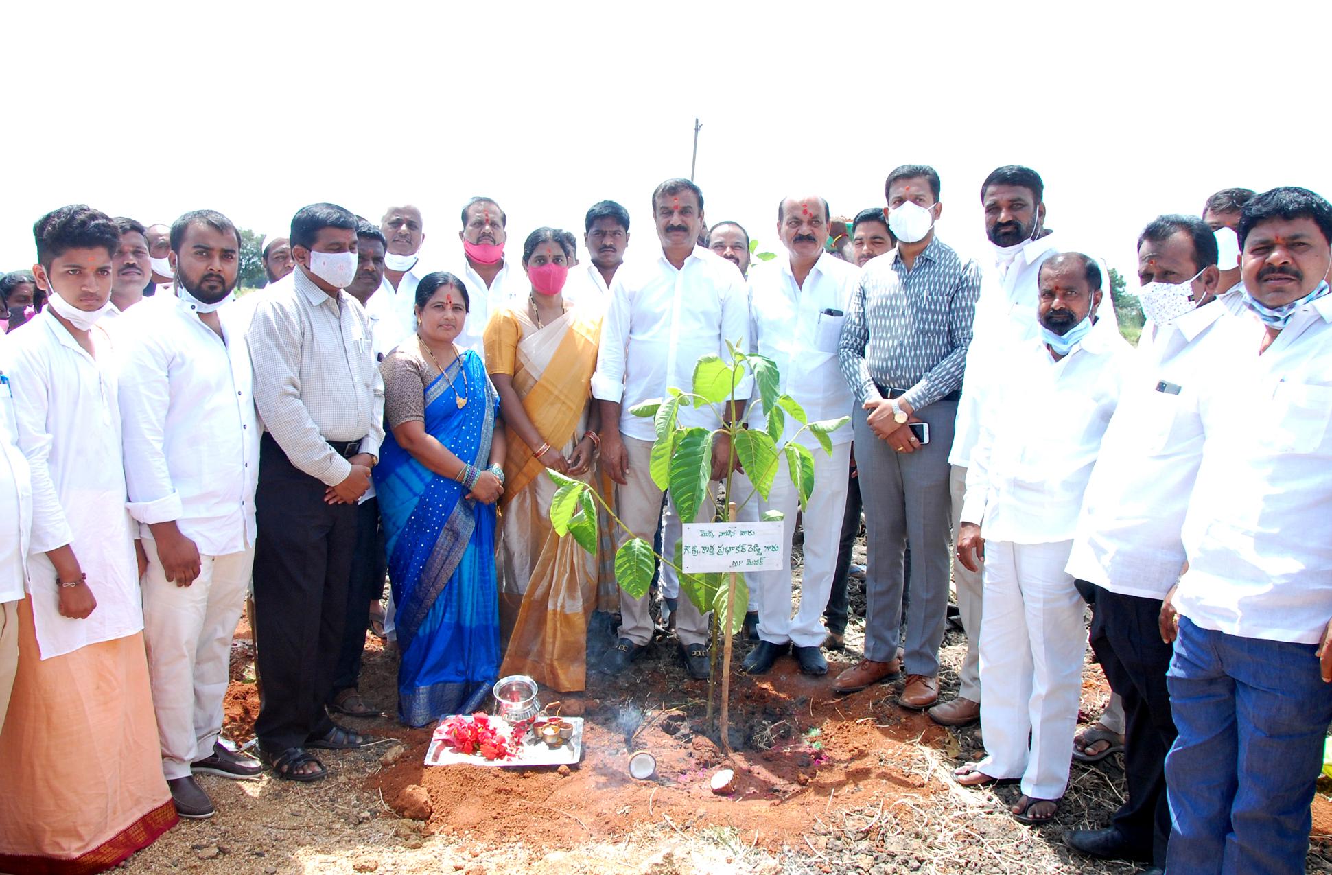 ఆహ్లాదకరంగా మెగా ప్లాంటేషన్‌
