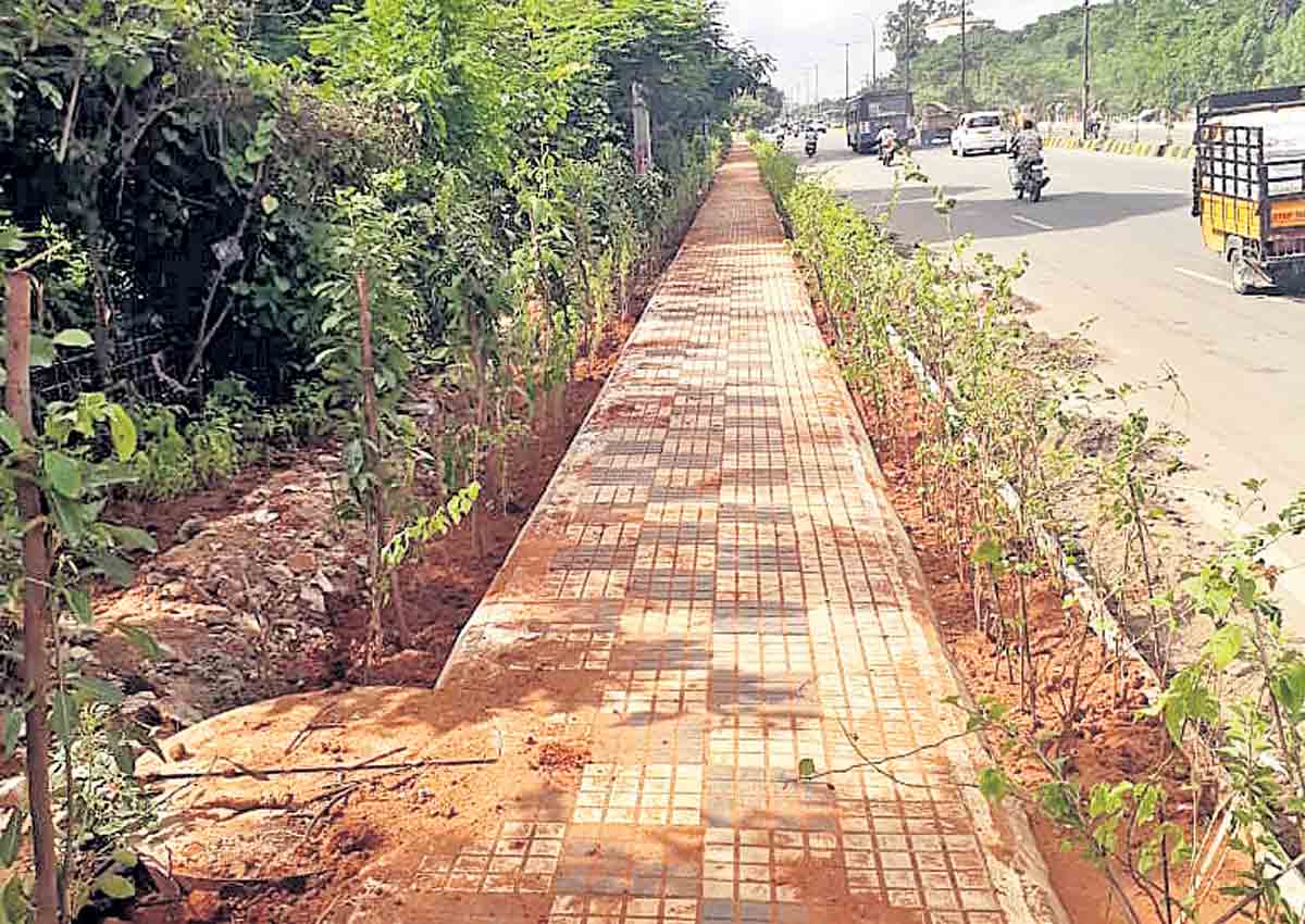 ఆకుపచ్చని మార్గం