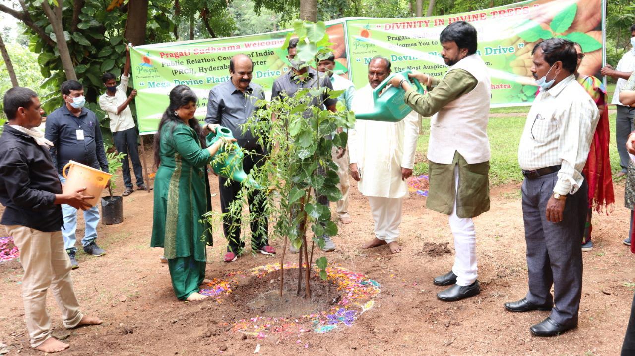 ప్రతి ఒక్కరూ మొక్కలు నాటాలి