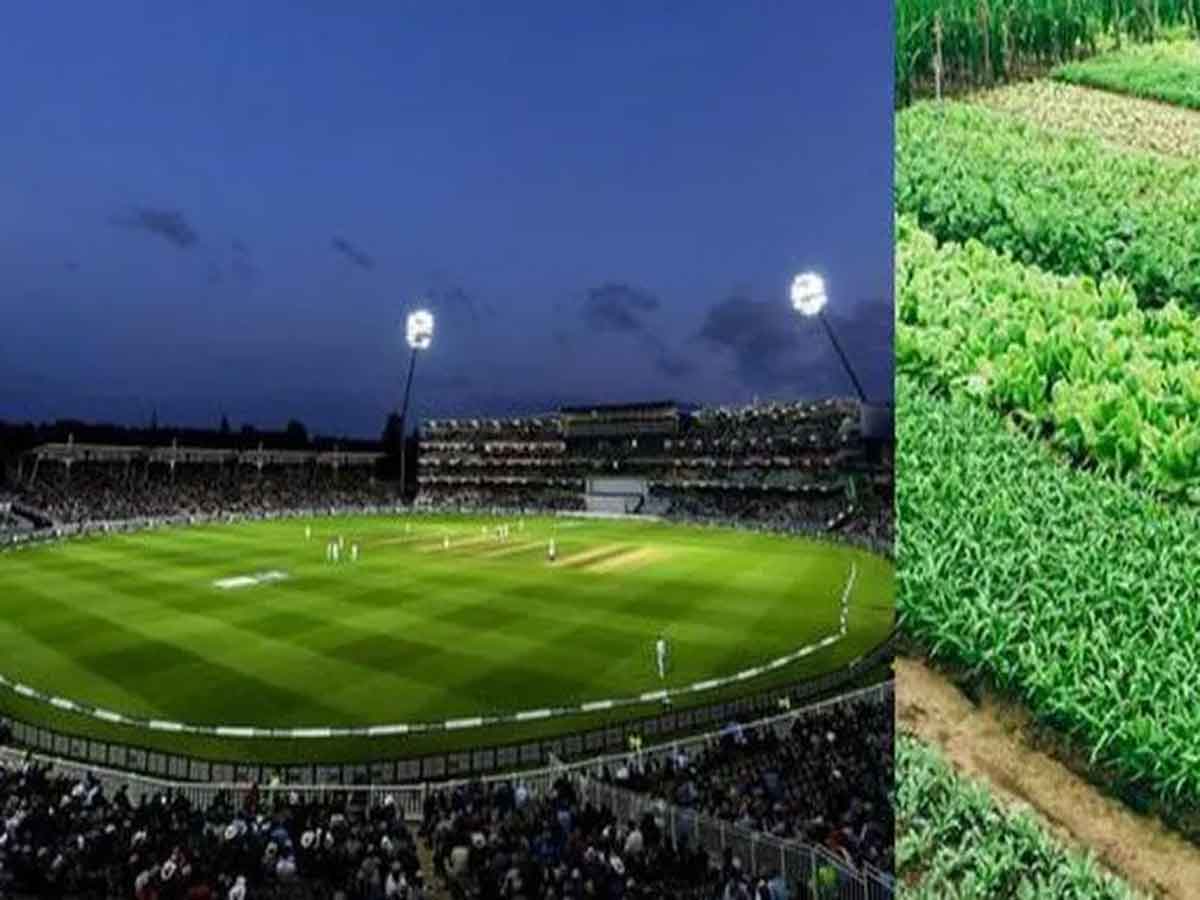 Cricket Stadium : తోటగా మారిన క్రికెట్‌ స్టేడియం.. ఎక్కడంటే..?