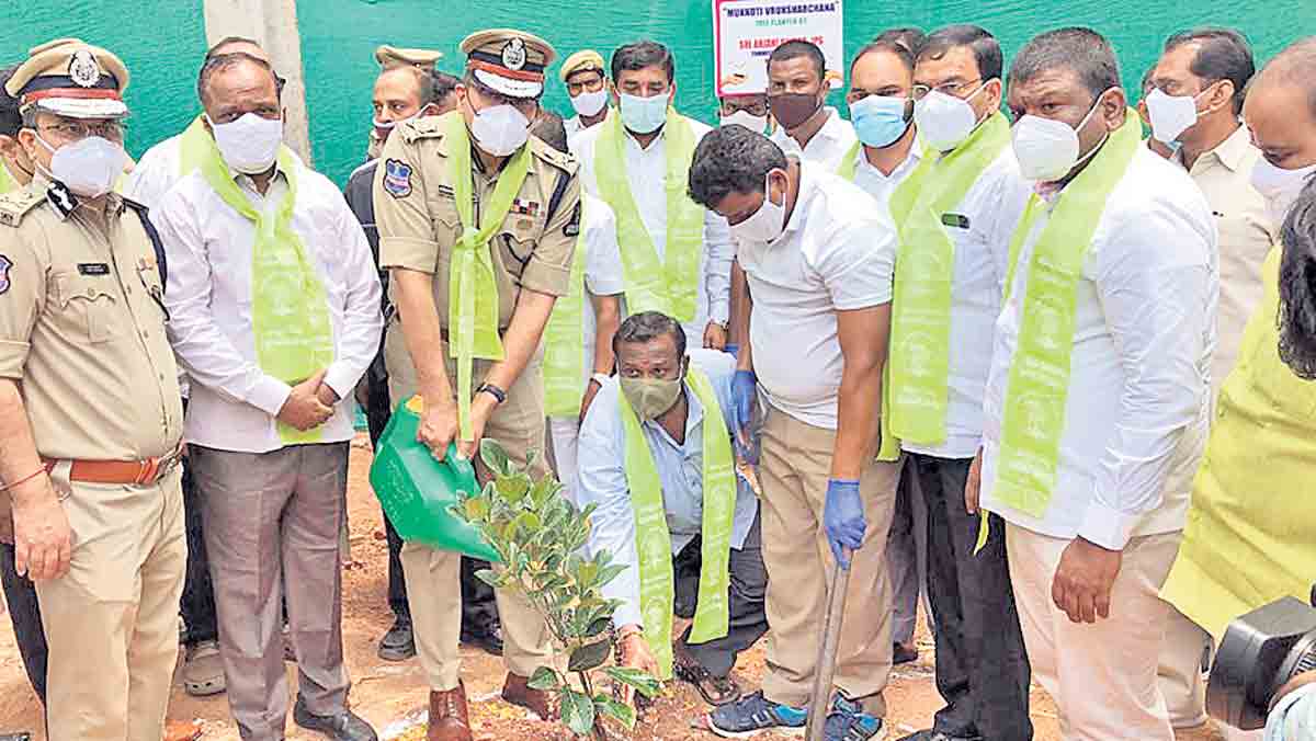మొక్కలు నాటుదాం.. సంరక్షిద్దాం