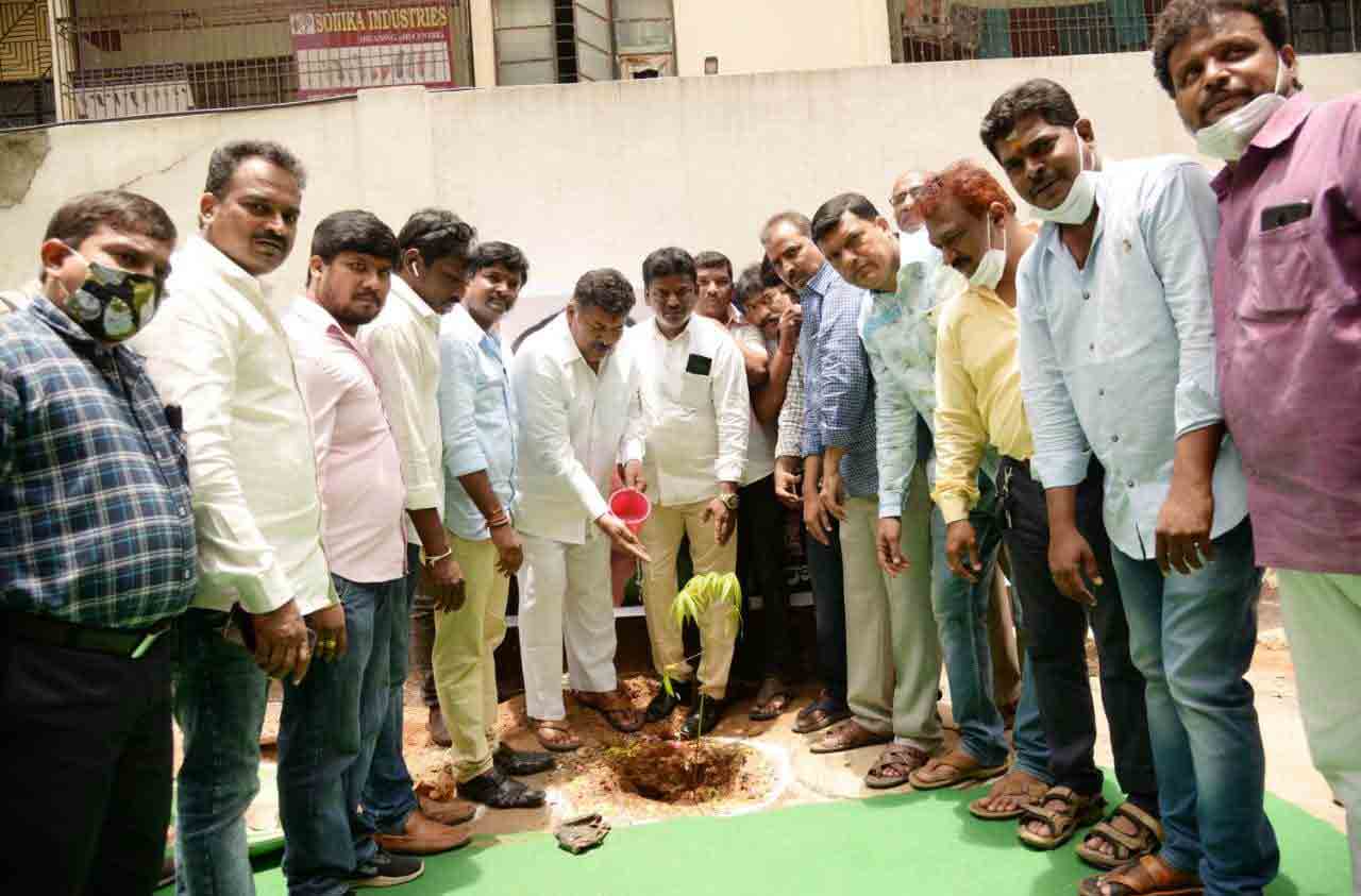 కొణిదెల యువసేన ఆధ్వర్యంలో హరితహారం