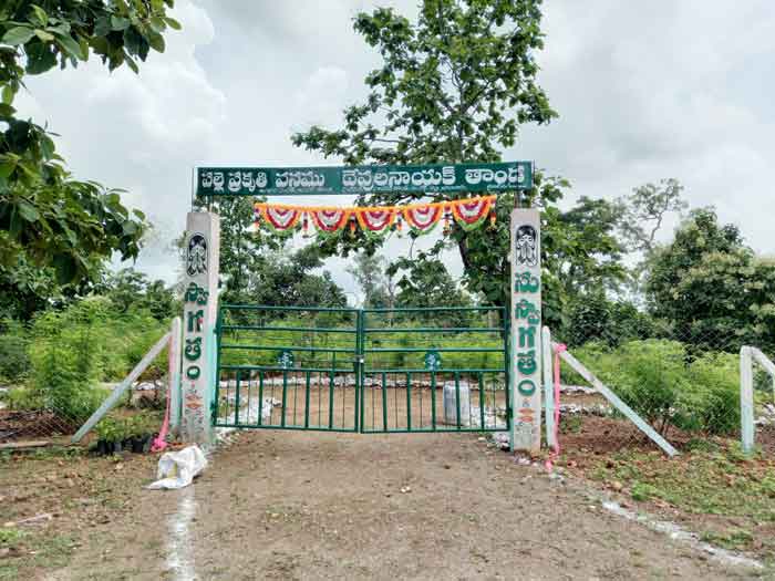 పల్లె ప్రగతితో మారిన రూపురేఖలు