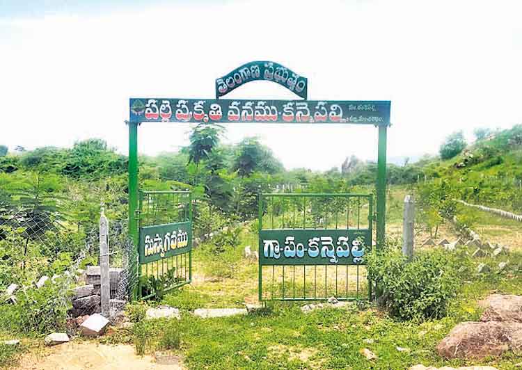 చూడచక్కని కన్నెపల్లి..