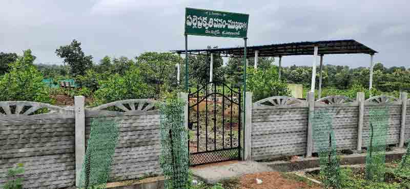 ప్రగతి పథంలో సొనాల