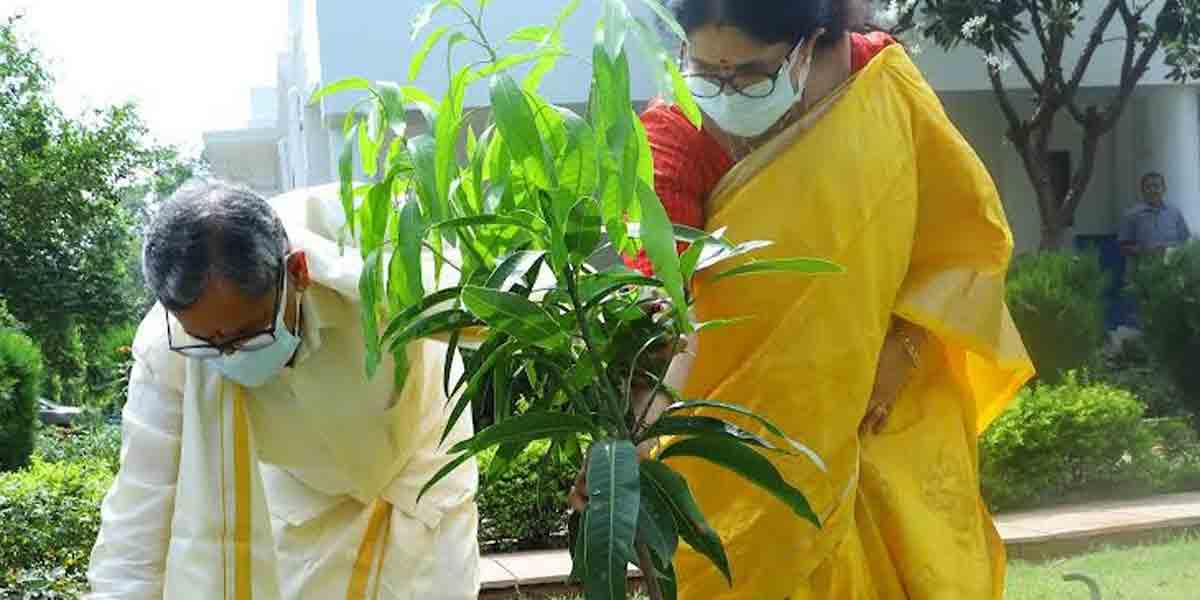 NV Ramana: స‌తీమ‌ణితో క‌లిసి ‘ఆమ్రాపాలి’ మొక్క నాటిన సీజేఐ