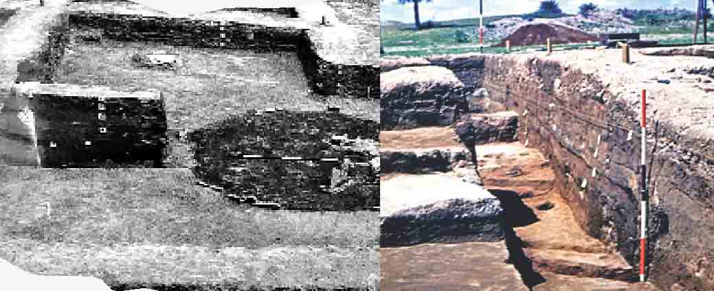 Telangana History | తెలంగాణలో కొత్త మైలు రాళ్లు